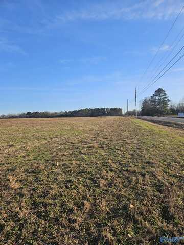 Lot 1 Elkwood Section Road, Hazel Green, AL 35750