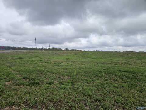 Lot 1 Elkwood Section Road, Hazel Green, AL 35750