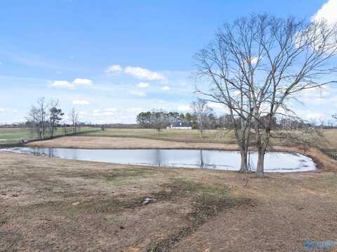 1971 County Road 702, Cullman, AL 35057