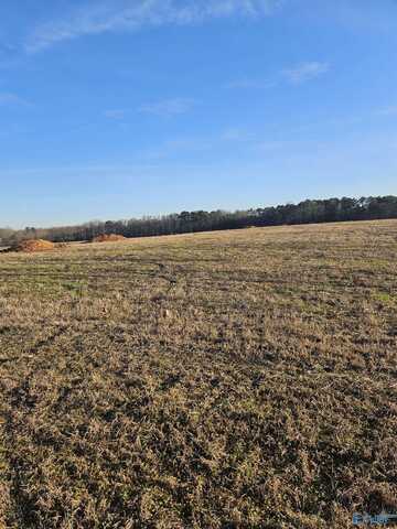 Lot 2 Elkwood Section Road, Hazel Green, AL 35750