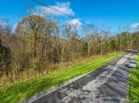 1836 County Road 870, Crane Hill, AL 35053