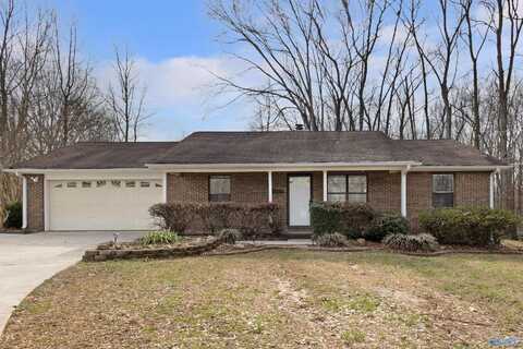 14162 Overcreek Circle, Madison, AL 35757