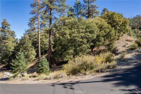 1216 Banff Drive, Pine Mountain Club, CA 93222