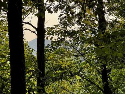 17b Amy Creek Circle, Ellijay, GA 30540