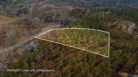 Lot 201 High River Oakwood Lane, Ellijay, GA 30540