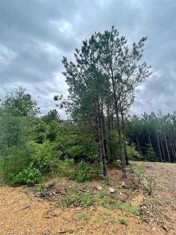 Cedar Hills Lakes, Broken Bow, OK 74728