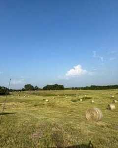 TBD E Highway, Norwood, MO 65717