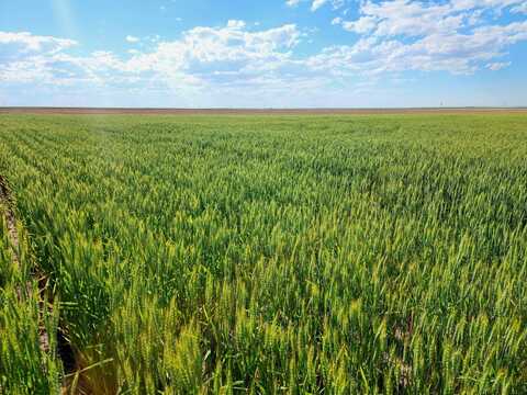 TBD Road 36, Potter, NE 69156