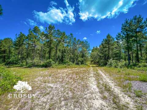 0 Lenards Drive, Lumberton, NC 28358