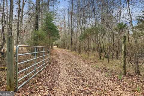 34.61 ACRES Walker Road, Meansville, GA 30256