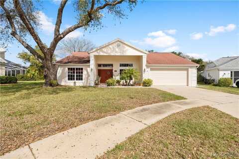 13542 Summerwood Court, Hudson, FL 34667