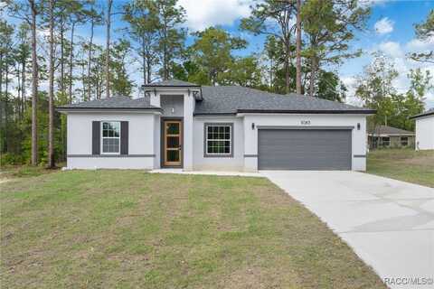 1083 W Cary Drive, Citrus Springs, FL 34434