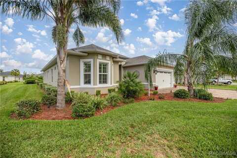 10279 Julia Isles Avenue, Oxford, FL 34484