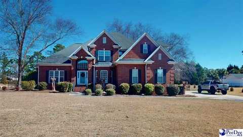 1311 Sandy Oak Drive, Hartsville, SC 29550