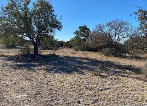 221 Turkey Run Rd, Eldorado, TX 76936