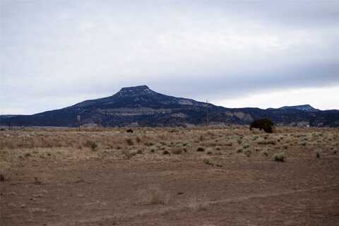 Lot 21 Private Drive 1725, Abiquiu, NM 87064