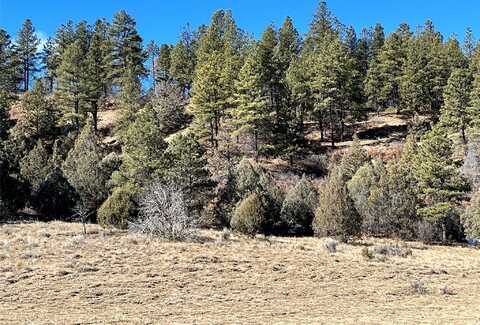 270 CR 352, Dulce, NM 87528