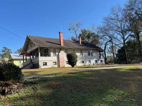 133 Village Lane, Attapulgus, GA 39815