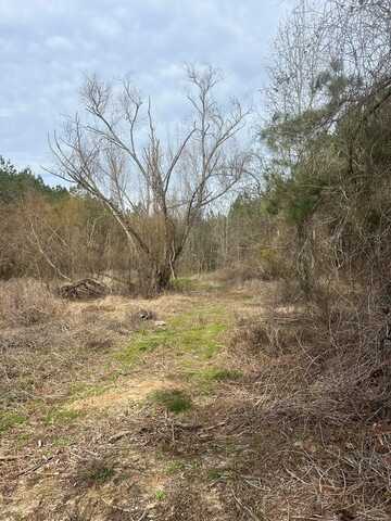 000 Felix Sartin, Columbia, MS 39654