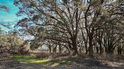 Vacant Hartsfield Road, Monticello, FL 32344