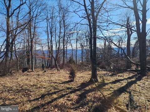 LOT 111 RIVER RIDGE, YELLOW SPRING, WV 26865