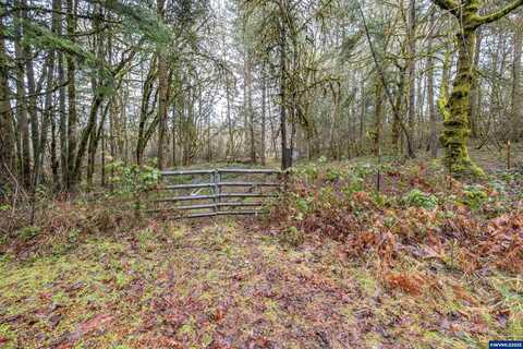 Pineway (Lot #2200) Rd, Lebanon, OR 97355