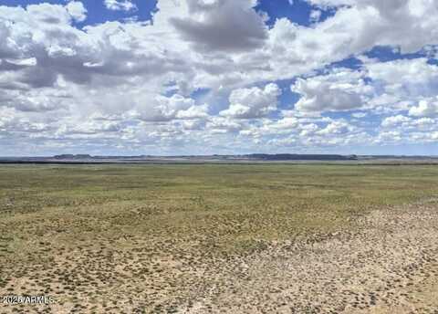 Tbd 211-25-116 Petrified Forest Estates, Adamana, AZ 85634