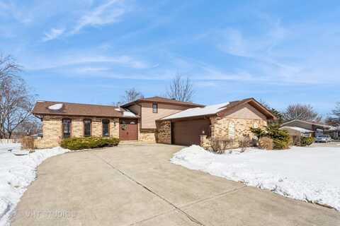 12426 W. Martingale Lane, Homer Glen, IL 60491