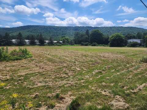 544 NYS Route 414 Road, Catlin, NY 14812