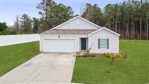 519 Grass Fern Ct., Longs, SC 29568