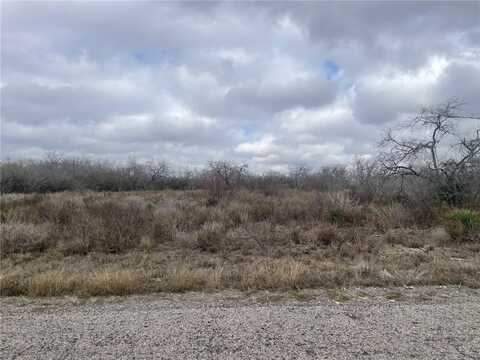 Windy Ridge Loop Lane, Mathis, TX 78368