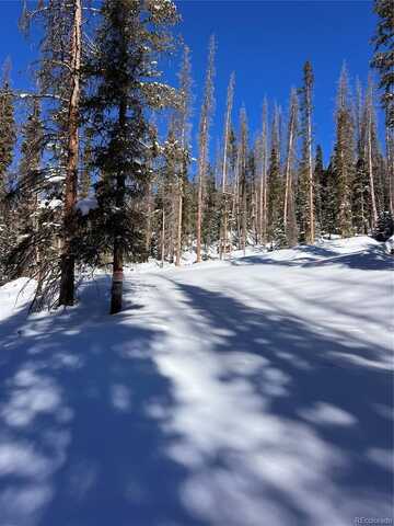 2760 Chicago Mining Claim, St Elmo, CO 81236