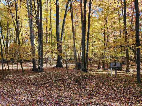 Lot 960 Clover, Farwell, MI 48622