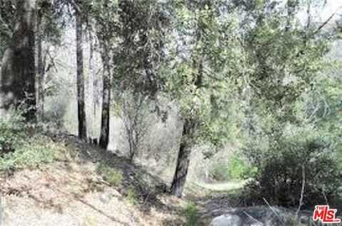 0 N Burnt Mill Canyon Road, CEDARPINES PARK, CA 92322