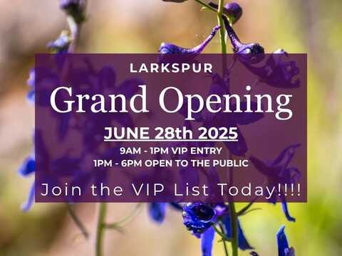 1827 N Rio Vista Street, Visalia, CA 93292