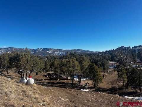 132 White Tail Place, Arboles, CO 81121