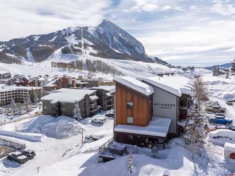 20 Marcellina Lane, Mount Crested Butte, CO 81225