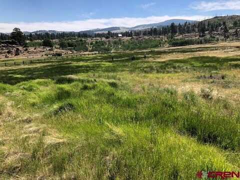 1875 Willow Park Drive, South Fork, CO 81154