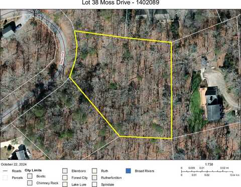 0 Moss Drive, Rutherfordton, NC 28139