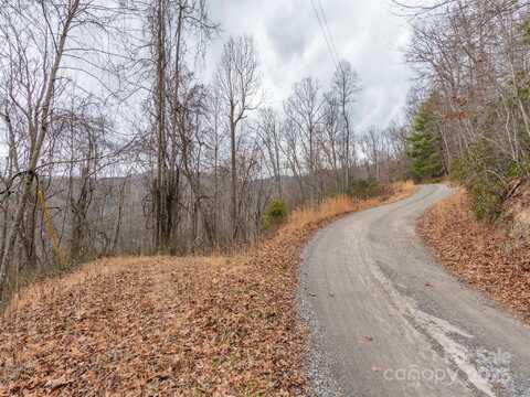 00 Cherry Berry Drive, Waynesville, NC 28785