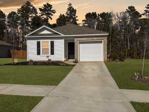 386 Spruce Ivy Street, Moncks Corner, SC 29461