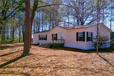 3259 W Horseshoe Road, Blackshear, GA 31516