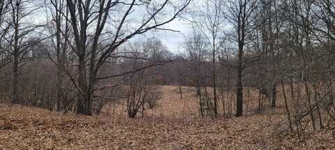 300 N 56th Avenue, Mears, MI 49436