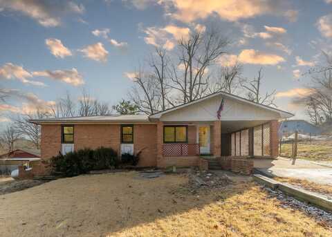 777 County Road 393, Thayer, MO 65791