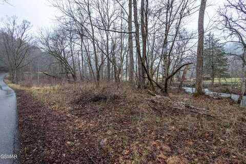 1392 Rocky Flats Road, Cosby, TN 37722