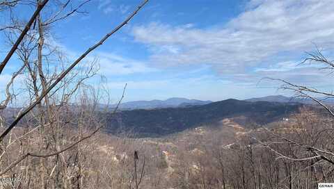 Lot 295 S Piney Butt Loop, Gatlinburg, TN 37738