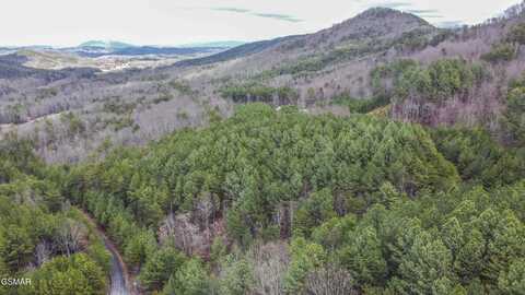 545 Harlan Mountain Road, Tellico Plains, TN 37385