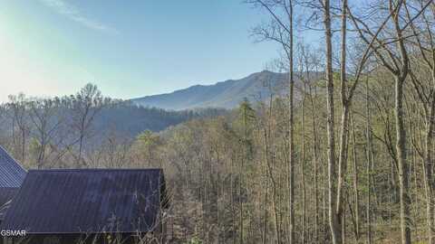 0 Cooper Hollow Road, Townsend, TN 37882