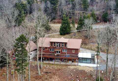 945 S Westridge Rd, Snowshoe, WV 26209