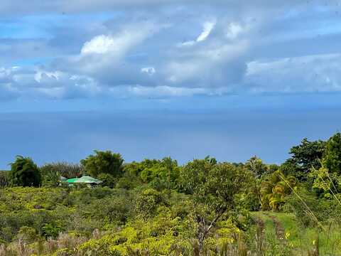 Piha Homesteads, PAPAALOA, HI 96780